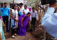 Tree Plantation Drive at School